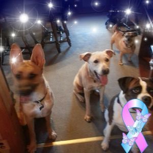 Meet your Posher, Deborah